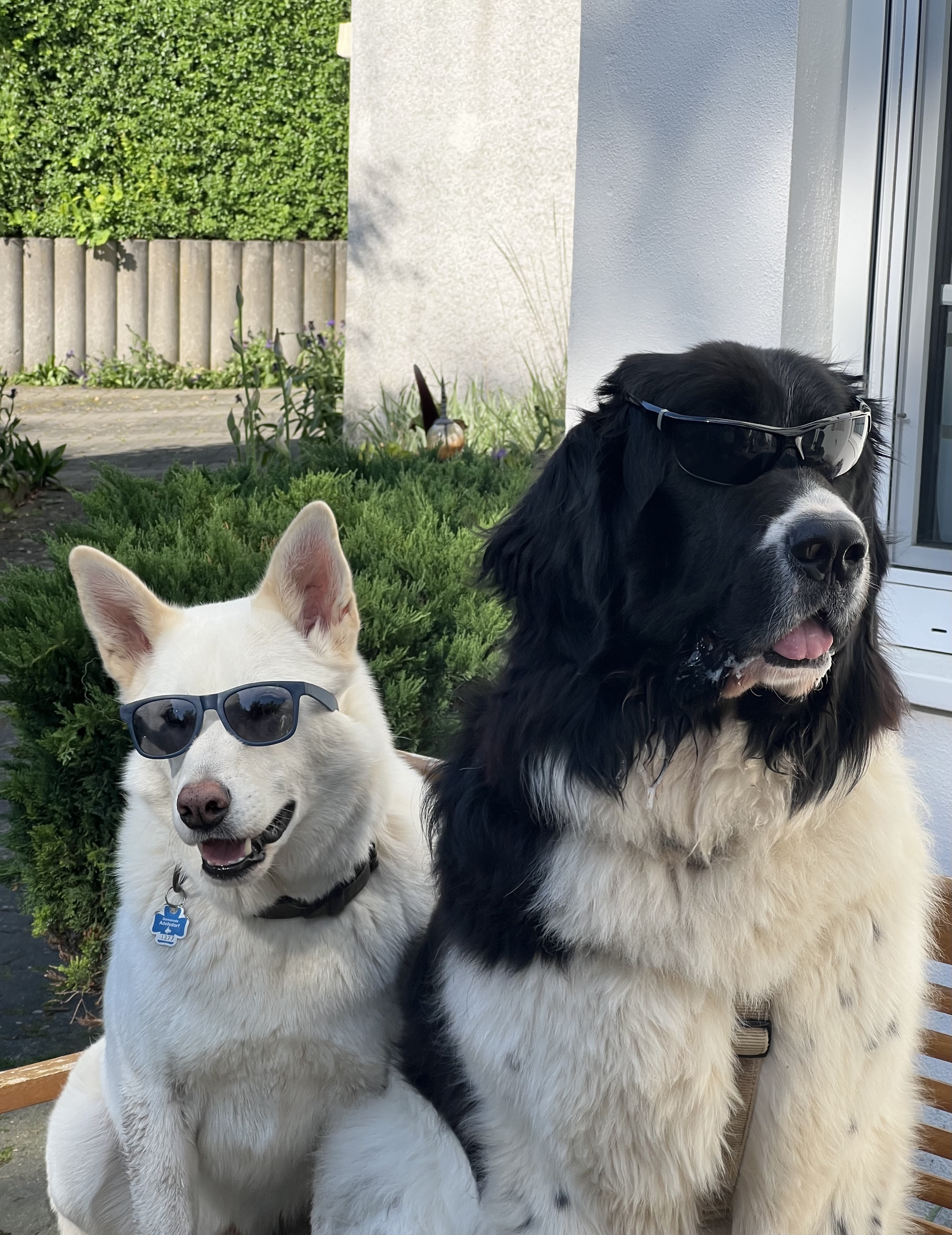 Security